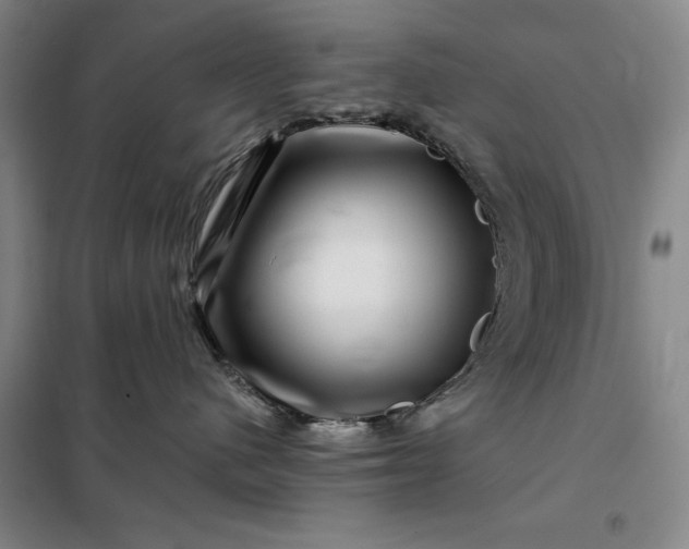 X0000098150480200805011412