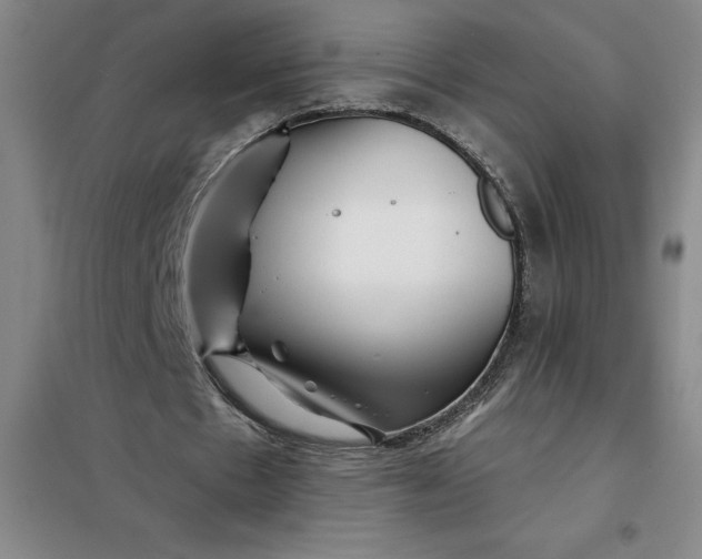 X0000098150481200805011411