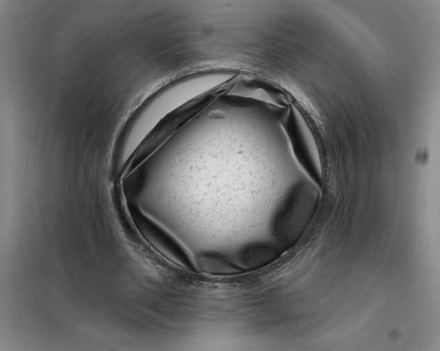 X0000098150486200805011411