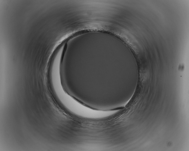 X0000098150488200805011411