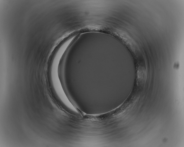 X0000098150492200805011411