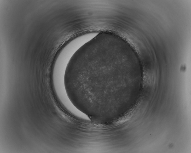 X0000098150493200805011411