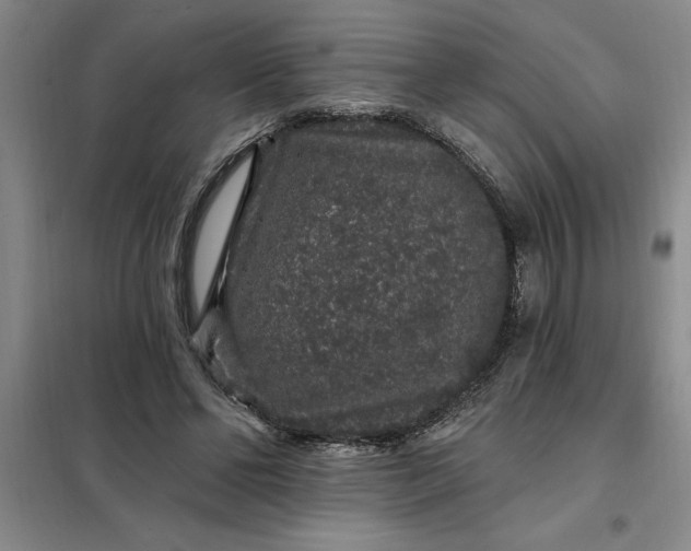 X0000098150494200805011411