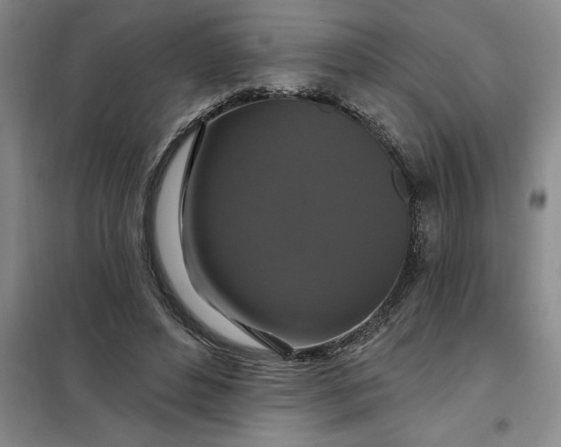 X0000098150496200805011411