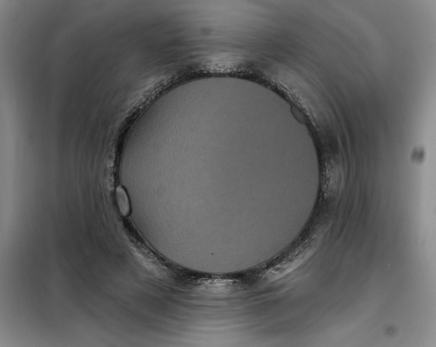 X0000098150497200805011411