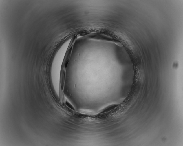 X0000098150498200805011411