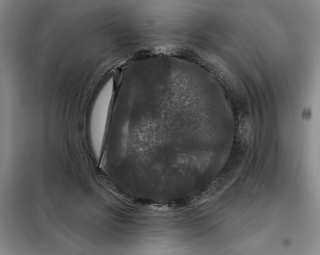 X0000098150502200805011411