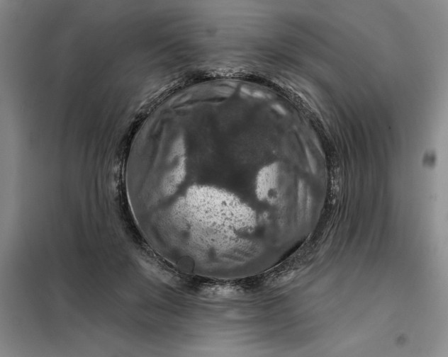 X0000098150503200805011411