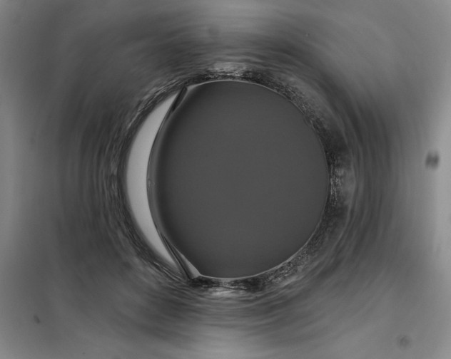 X0000098150504200805011411