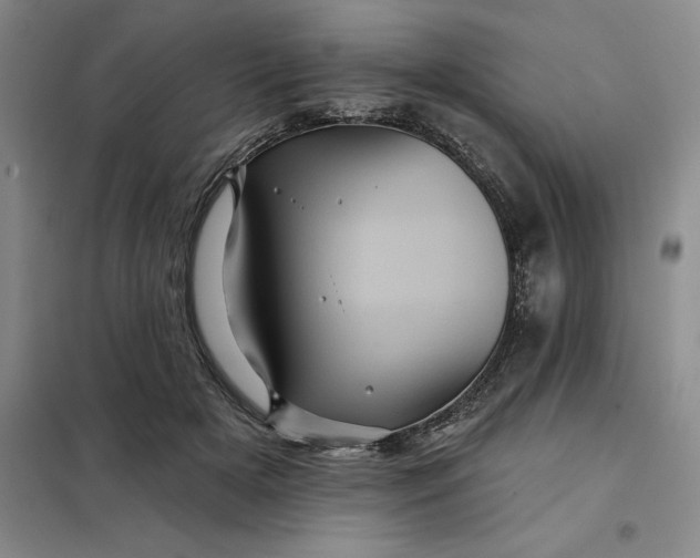 X0000098150505200805011411