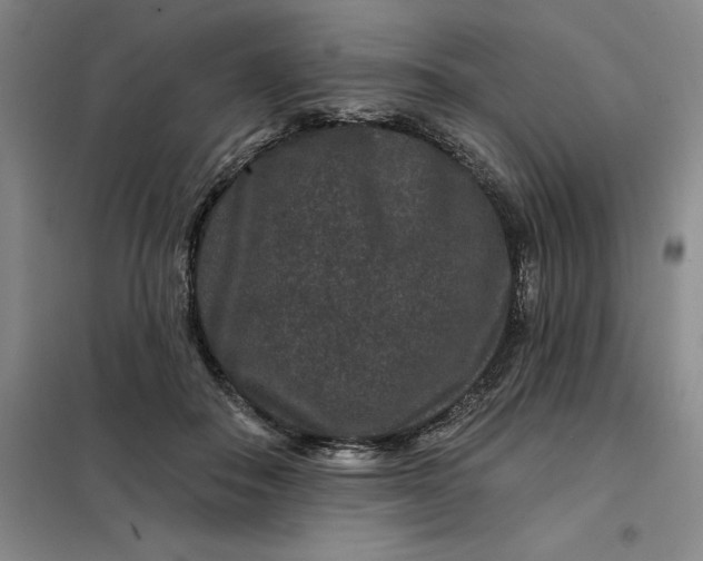 X0000098150506200805011411