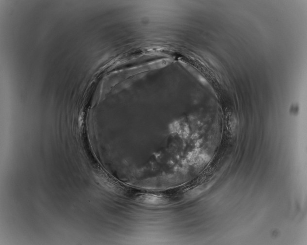 X0000098150507200805011411