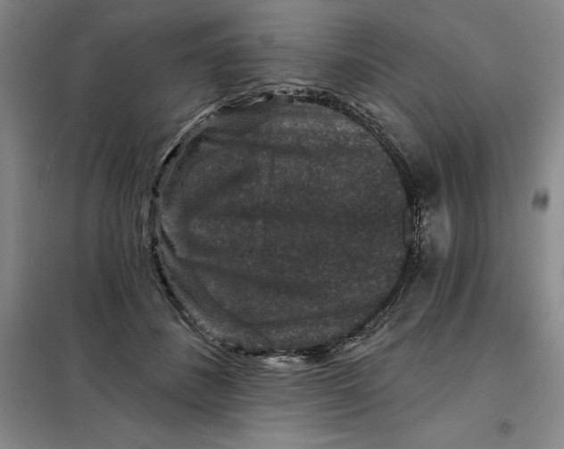 X0000098150508200805011411