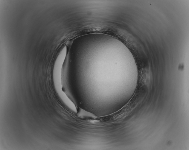 X0000098150509200805011411