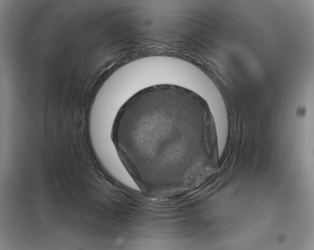 X0000098150511200805011411