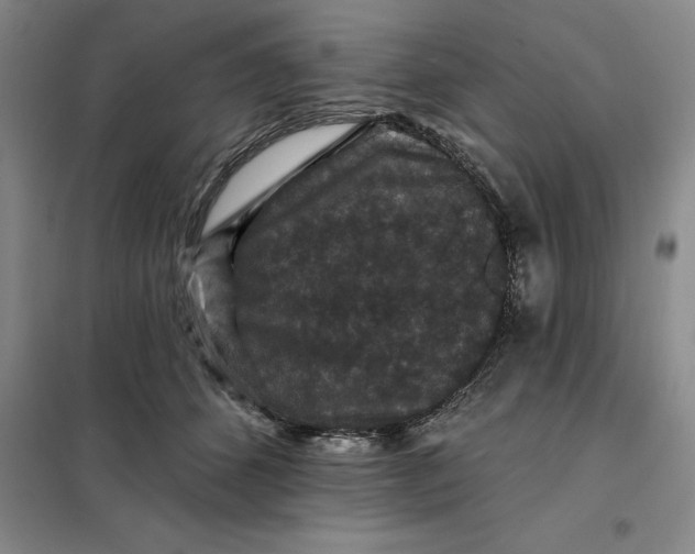 X0000098150512200805011411