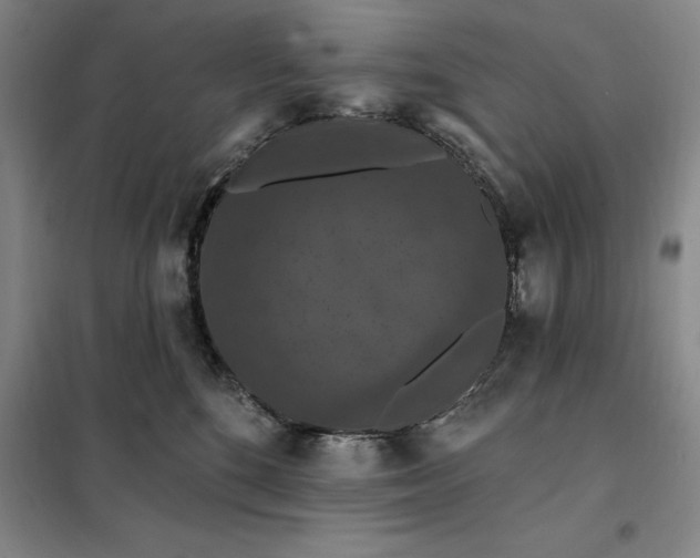 X0000098150520200805011411