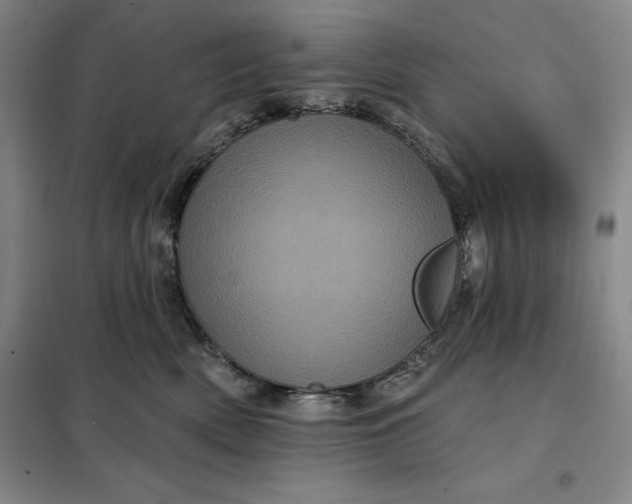 X0000098150522200805011411