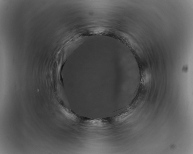 X0000098150524200805011411