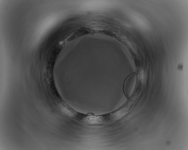 X0000098150526200805011411