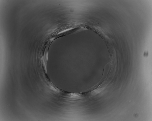 X0000098150528200805011411