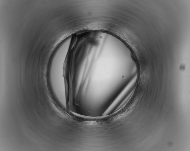 X0000098150530200805011410