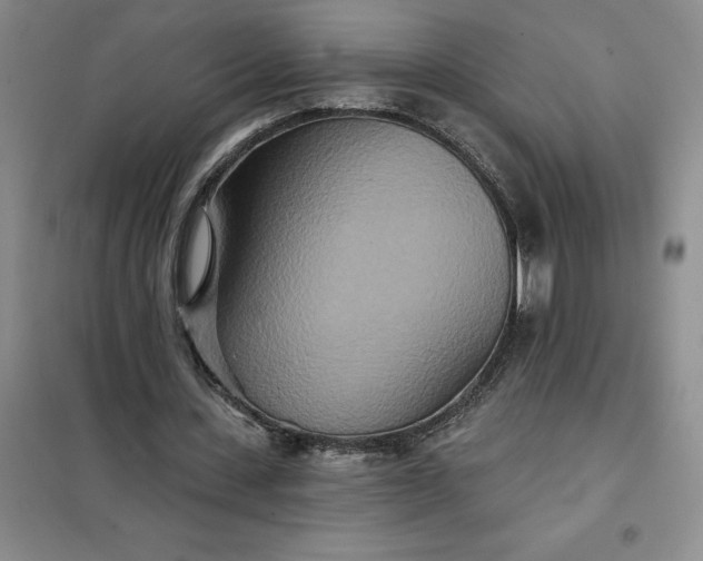 X0000098150531200805011410