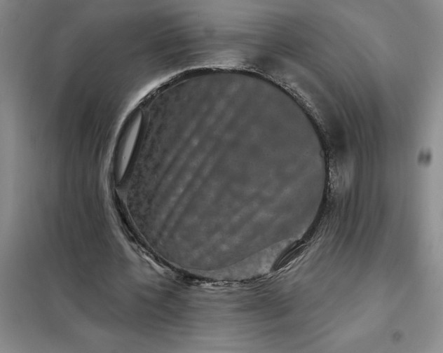 X0000098150532200805011410