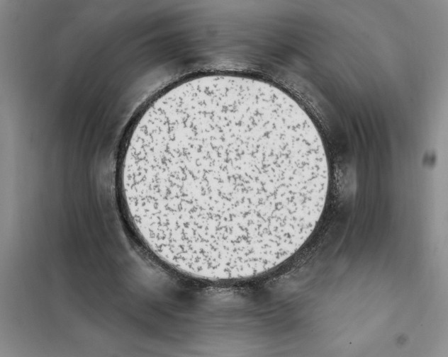X0000098150534200805011410