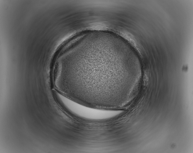 X0000098150535200805011410