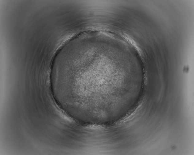 X0000098150537200805011410