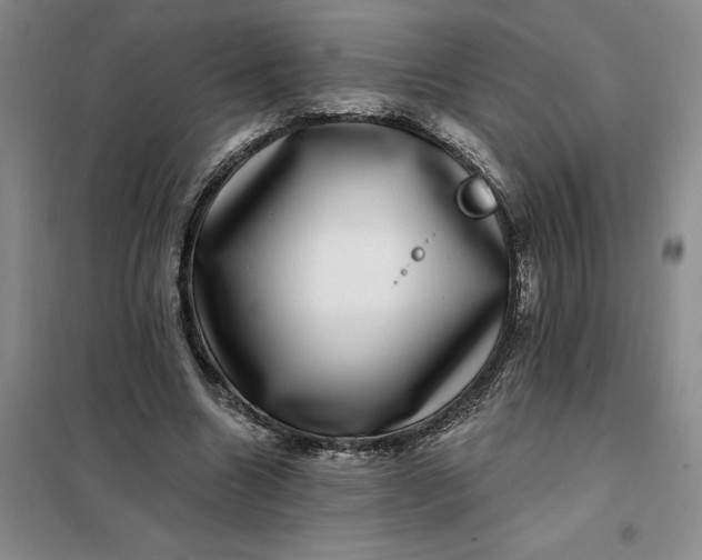 X0000098150538200805011410