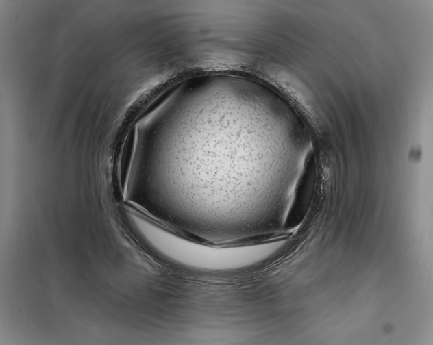 X0000098150539200805011410