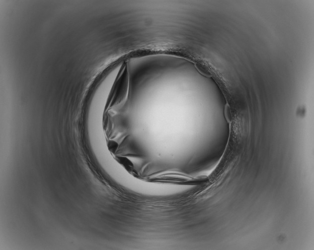X0000098150540200805011410