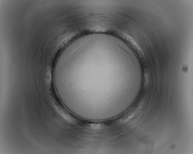 X0000098150541200805011410