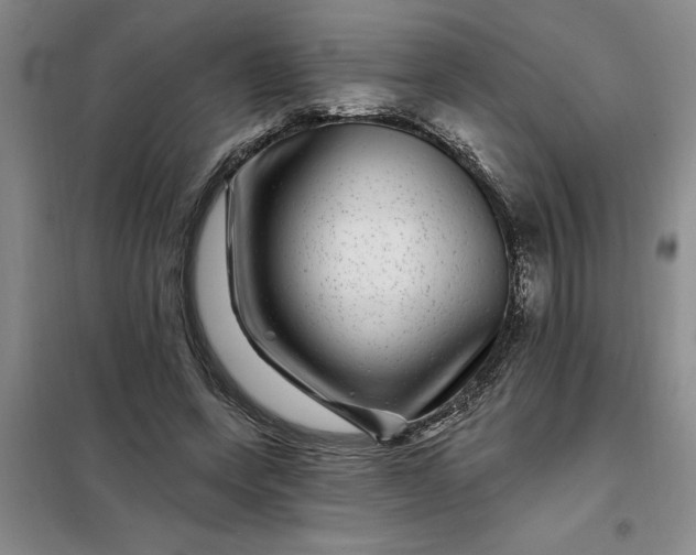 X0000098150543200805011410