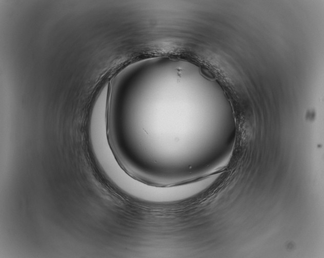 X0000098150546200805011410