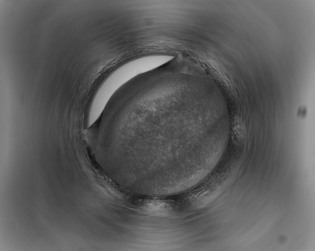 X0000098150547200805011410