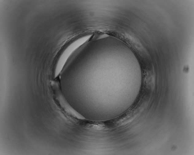 X0000098150548200805011410