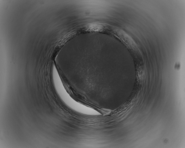 X0000098150551200805011410