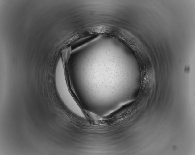 X0000098150555200805011410