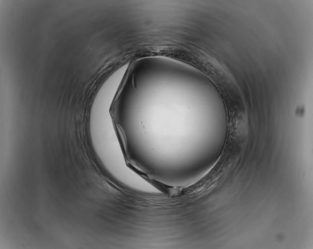 X0000098150558200805011410