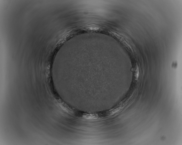 X0000098150559200805011410