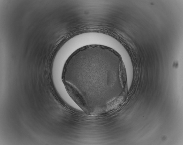 X0000098150560200805011410