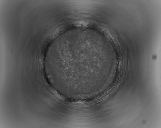 X0000098150561200805011410