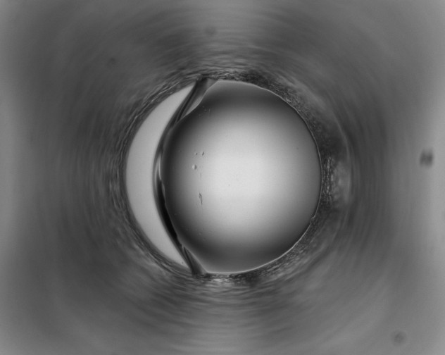 X0000098150562200805011410