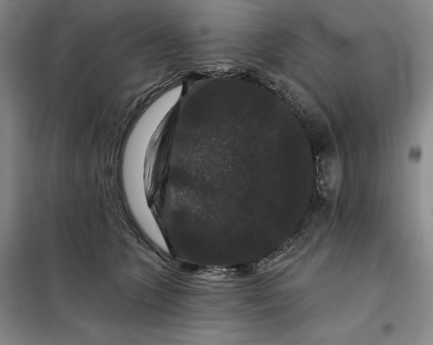 X0000098150563200805011410