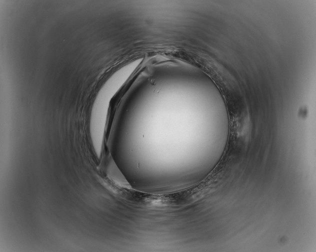 X0000098150564200805011410