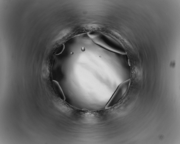 X0000098150566200805011410