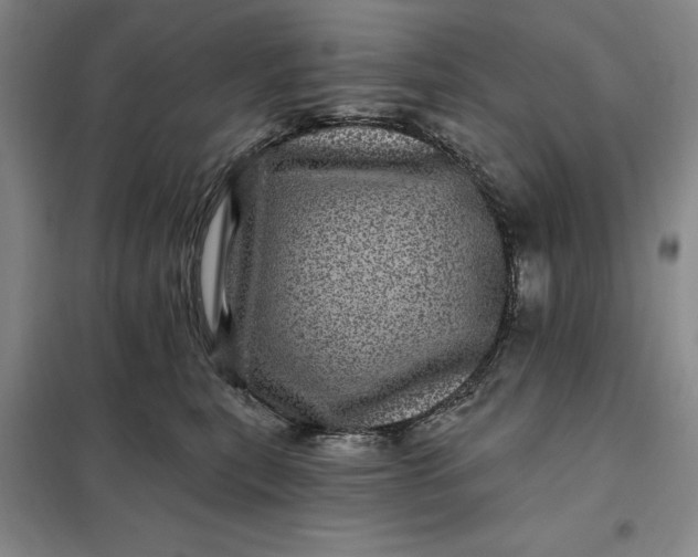 X0000098150567200805011410